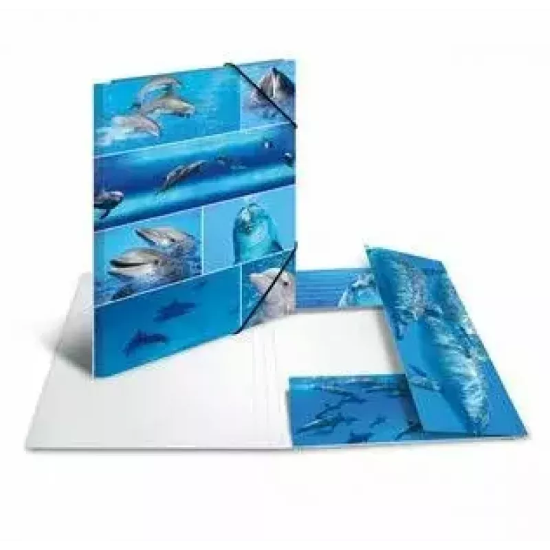Folder kartonowy HERMA 19221 A3 Wielokolorowy