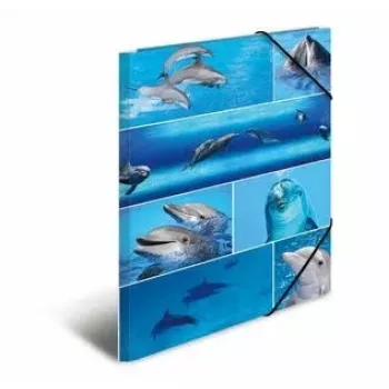 Folder kartonowy HERMA 19221 A3 Wielokolorowy