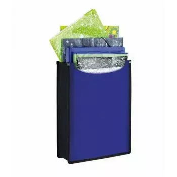 Konwencjonalna teczka na dokumenty HERMA 19481