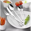Komplet noży/sztućców w etui Esmeyer SOPHIE 60 szt. Stal nierdzewna