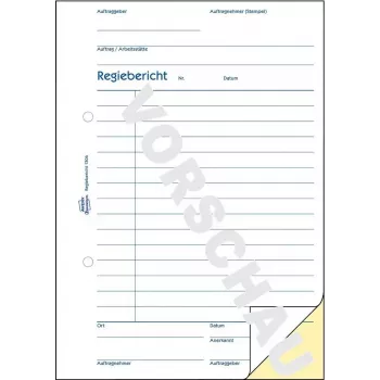 Formularz/księga rachunkowa A5 Avery 1306