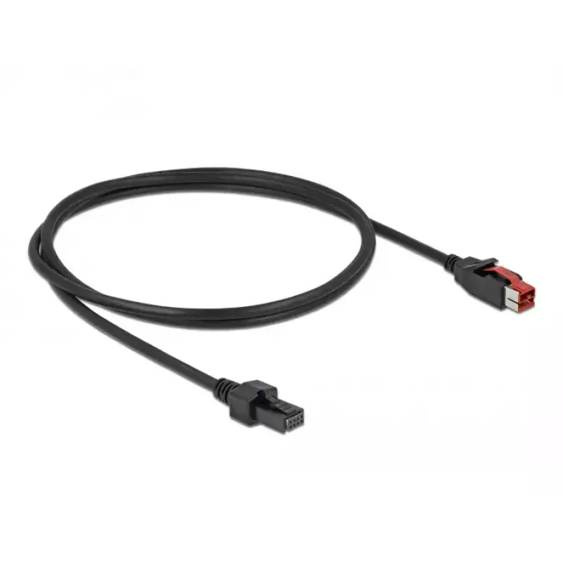 Kabel Powered USB DeLOCK 85950 24 V na 2 x 4-pin męski 1 m