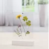 Pojedyncza ramka na zdjęcia Hama Classic 00057743 Transparent biały