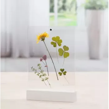 Pojedyncza ramka na zdjęcia Hama Classic 00057743 Transparent biały