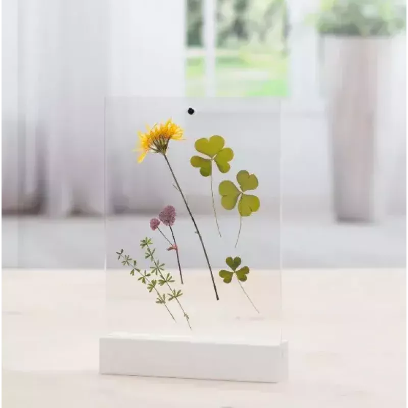 Pojedyncza ramka na zdjęcia Hama Classic 00057743 Transparent biały