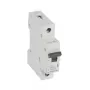 Legrand RX3 wyłącznik nadprądowy Miniaturowy wyłącznik nadprądowy Typ B 1