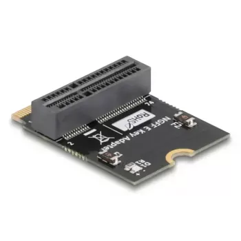 DeLOCK 64341 Wewnętrzny adapter M.2 Interfejs Host M.2 Męski Czarny