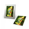 Papier fotograficzny Avery C2549-20P High-gloss