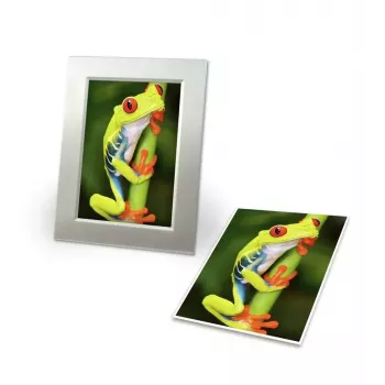 Papier fotograficzny Avery C2549-20P High-gloss