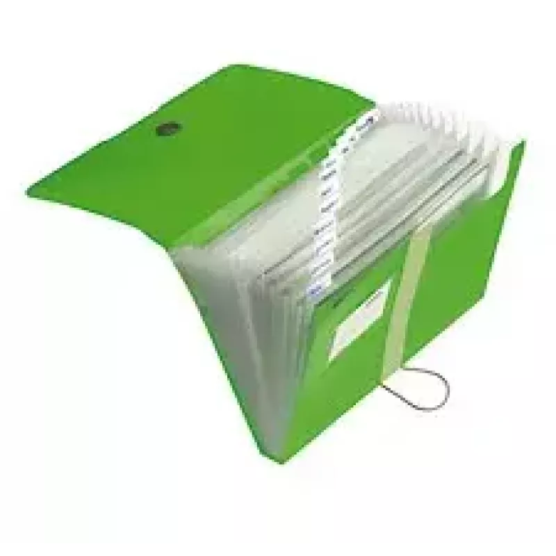 Folder Herlitz 11209517 zielony