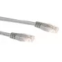 ACT szary 0,25 metra LSZH U/UTP CAT6A kabel krosowy ze złączami RJ45