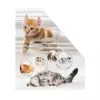 Magazine Rack HERMA Stehsammler Katzen A4 żółty