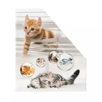 Magazine Rack HERMA Stehsammler Katzen A4 żółty