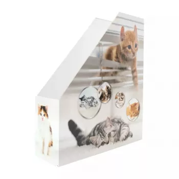 Magazine Rack HERMA Stehsammler Katzen A4 żółty