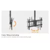 Uchwyt sufitowy do dwóch ekranów EQUIP 32 cale–60 cali (VESA 200x200–600x400, maks. 80 kg, obrót ±180°), czarny