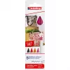 Felt pensy Edding 4600 zestaw — 5 kolorów (czarny, karmazynowy, pomarańczowy, różowy, czerwony), końcówka okrągła