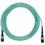 Kabel światłowodowy BlueOptics CBX-STC012BPF-MXXN-MXXN-020M-MTP OM4 20m Turkusowy
