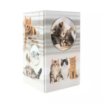 Piórnik na biurko HERMA 19733 Cat Design stylowy i funkcjonalny