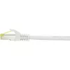 Kabel sieciowy Renkforce RF-4149858 0,25 m Cat6a S/FTP Szary