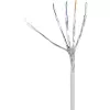 Kabel sieciowy Renkforce RF-4149858 0,25 m Cat6a S/FTP Szary
