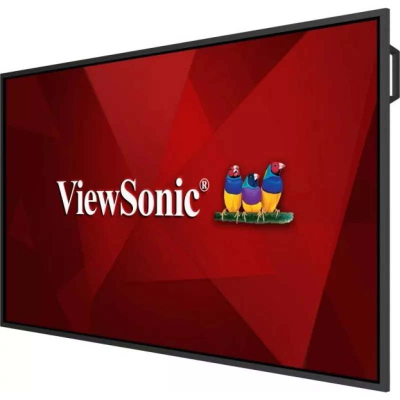 Viewsonic 65“ 4K OS-Free Commercial Display