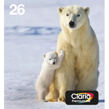 Epson Polar bear Multipack 4-kolory 26 EasyMail, Standard Yield, Czarny, Cyjan, magenta, Żółty, Tusz pigmentowy, Tusz barwnikowy, 6,2 ml, 4,5 ml