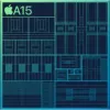 Smartfon Apple iPhone 13 6.1 cala 128 GB Niebieski