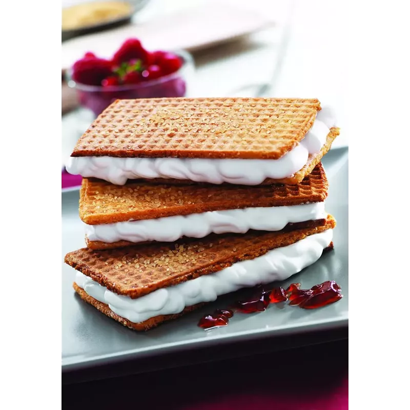 Płyta zapasowa Tefal XA800512 do Snack Collection / SnackTime, czarna, 242×155×44 mm, opakowanie 2 szt.