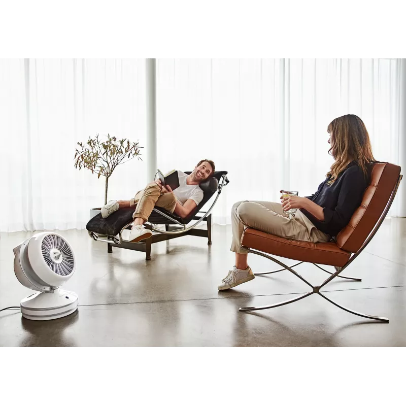 Rowenta HQ7152 Elektryczny termowentylator do użytku wewnętrznego, biały, srebrny