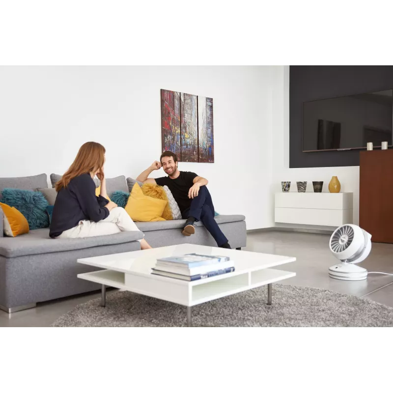 Rowenta HQ7152 Elektryczny termowentylator do użytku wewnętrznego, biały, srebrny