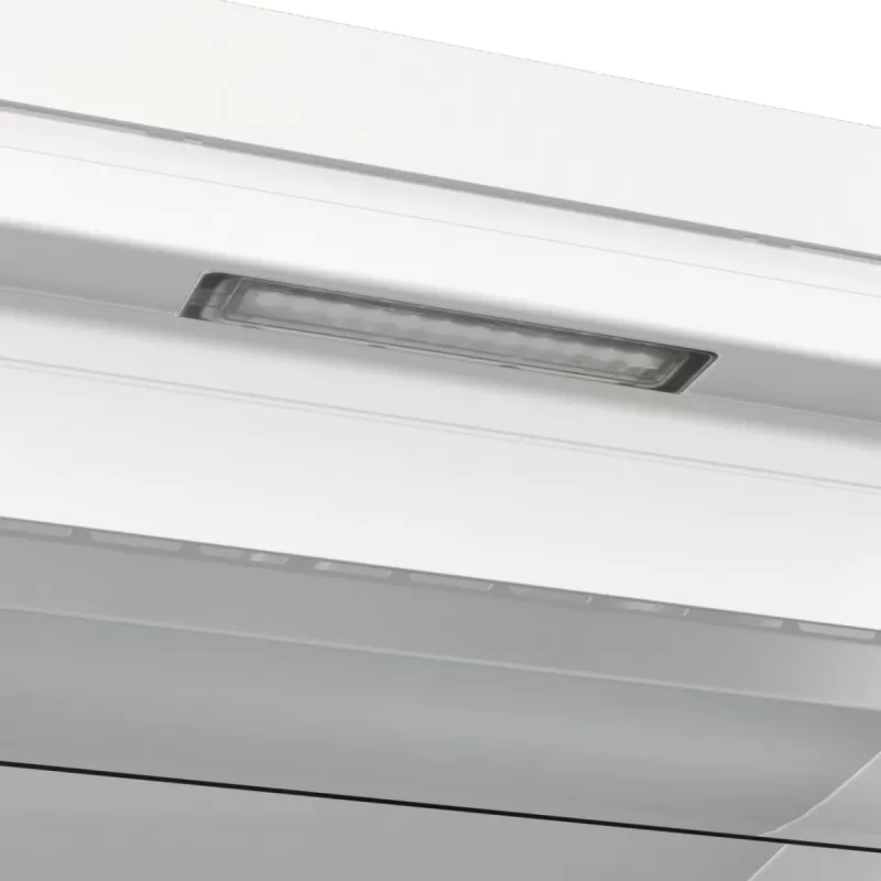 Gorenje FN619EAW6 Zamrażarka pionowa wolnostojąca 280 L Biała
