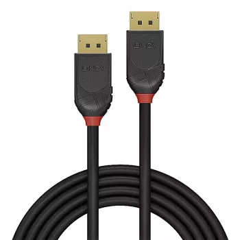Kabel Lindy 36517 DisplayPort 2 m Czarny
