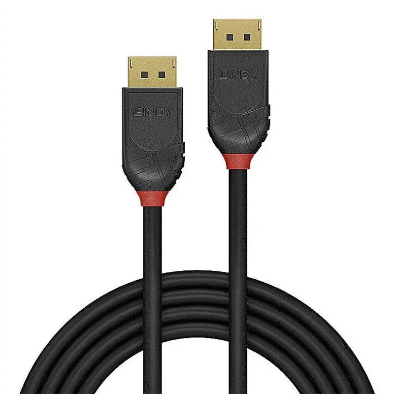 Kabel DisplayPort Lindy 36519 5 m Czarny