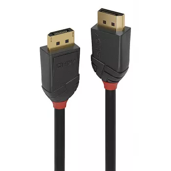 Kabel Lindy 36521 DisplayPort 2 m Czarny