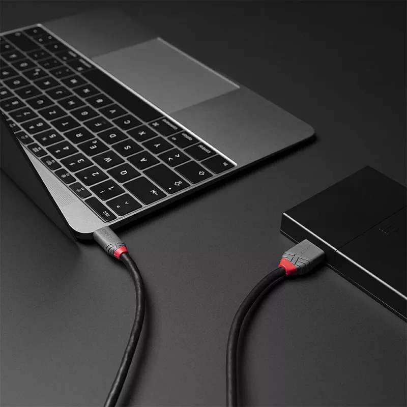 Lindy 1m USB 3.2 Type C na Micro-B Kabel, Anthra Line, 1 m, USB C, Micro-USB B, USB 3.2 Gen 1 (3.1 Gen 1), Czarny