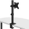 Lindy Stubby Stały uchwyt do monitora, 8 kg, 33 cm (13 cali), 81,3 cm (32 cale), 75 x 75 mm, 100 x 100 mm, czarny