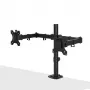 Lindy Dual Adjustable Display Mount, 8 kg, 33 cm (13 cali), 81.3 cm (32 cale), 75 x 75 mm, 100 x 100 mm, Czarny