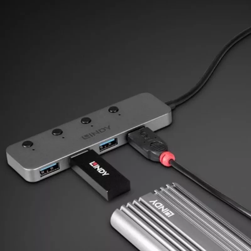 Lindy Hub USB 4-portowy USB 3.2 Typ C z przełącznikami wł./wył.