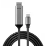 Lindy 43504 adapter kablowya wideo 2 m USB Type-C DisplayPort Szary
