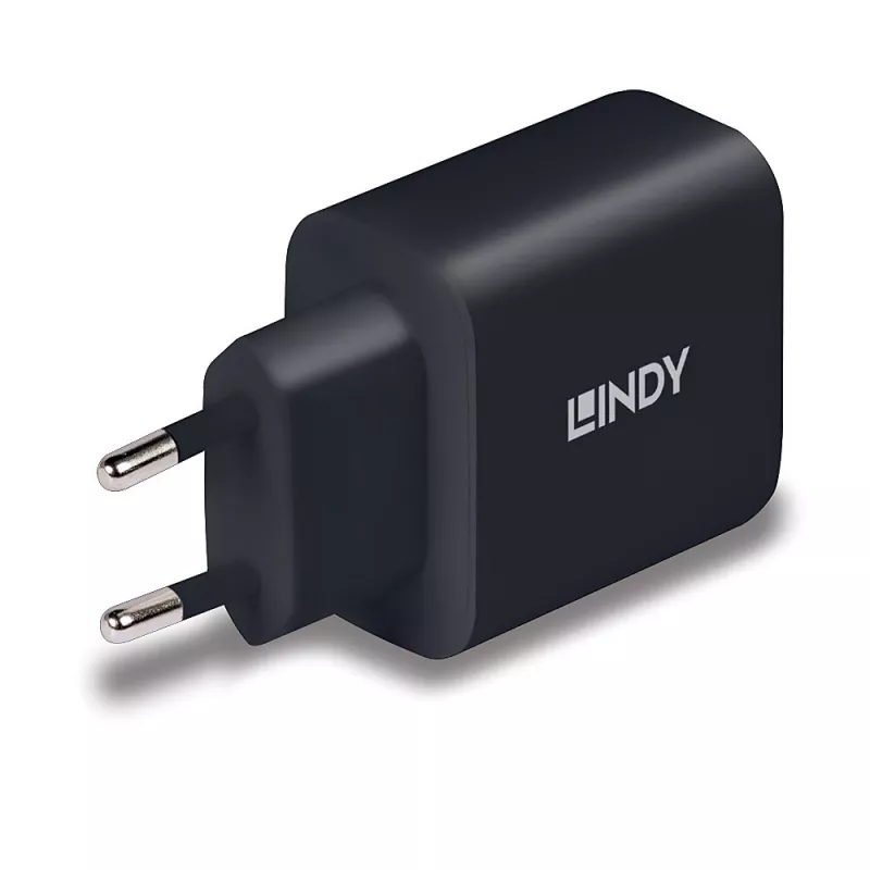 Lindy 73426 ładowarka do urządzeń mobilnych Uniwersalna Czarny AC Szybkie ładowanie Wewnętrzna