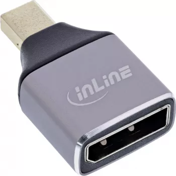 InLine 17291C zmieniacz płci kabla DisplayPort Mini DisplayPort szary, czarny