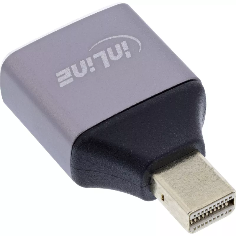 InLine 17291C zmieniacz płci kabla DisplayPort Mini DisplayPort szary, czarny