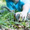schleich Dinozaury Brachiozaur, 4 lata, Era dinozaurów, Podbijanie Ziemi, Dinozaury i wulkan, Pierwsi giganci, Wielokolorowy, Plastik