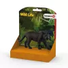 schleich WILD LIFE Czarna pantera, od 3 lat, Dżungla, Dzikie zwierzęta / zabawki przygodowe, Wielokolorowy, Plastik