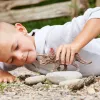 schleich Dinozaury Triceratops, od 4 lat, Podbój Ziemi, Dinozaury i wulkan, Wielokolorowy, Plastik, 1 szt.