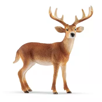 schleich WILD LIFE jeleń wirginijski, 3 lata, Las, Dzikie zwierzęta / zabawki przygodowe, Wielokolorowy, Plastik, 1 szt.