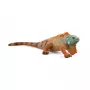 Figurka Schleich WILD LIFE Iguana Wielokolorowa 14854 Zalecany wiek 3 lata