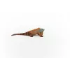 Figurka Schleich WILD LIFE Iguana Wielokolorowa 14854 Zalecany wiek 3 lata