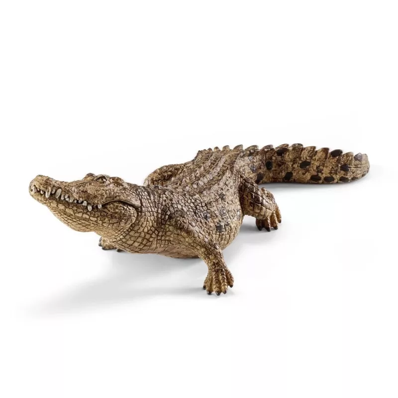 schleich WILD LIFE Krokodyl, 3 lata, Safari, Dzikie zwierzęta / zabawki przygodowe, Wielokolorowy, Tworzywo sztuczne, 1 szt.