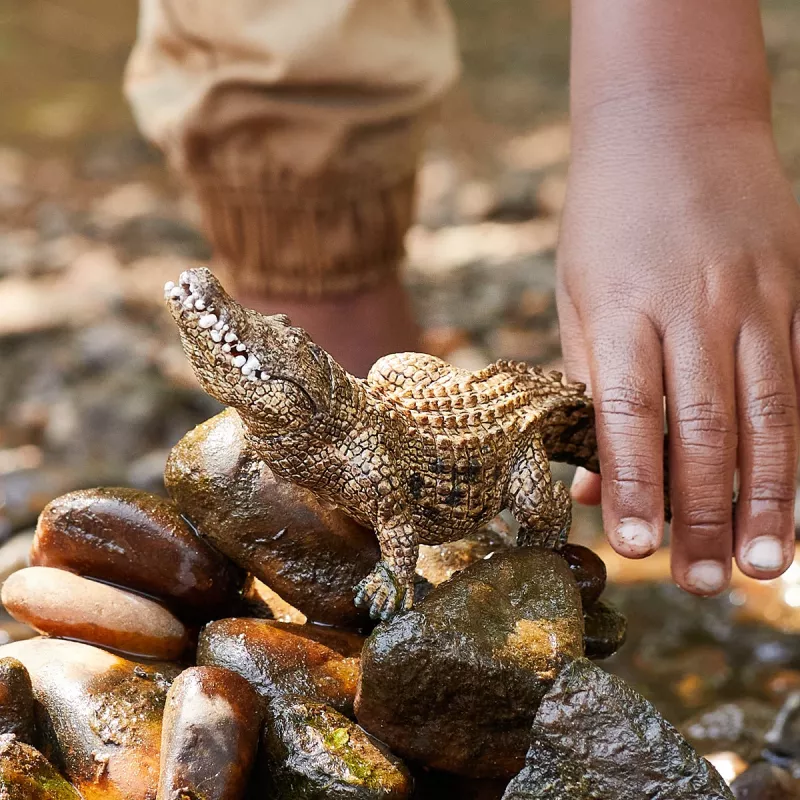 schleich WILD LIFE Krokodyl, 3 lata, Safari, Dzikie zwierzęta / zabawki przygodowe, Wielokolorowy, Tworzywo sztuczne, 1 szt.
